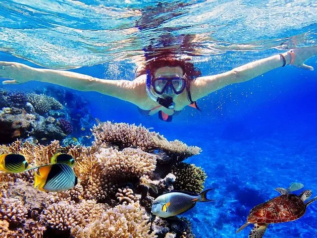 A woman snorkeling over a vibrant coral reef with fish and a small turtle.