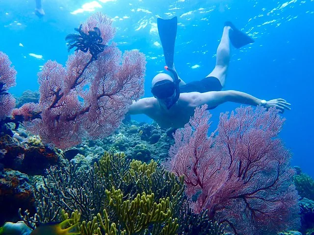 A person snorkeling underwater near colorful coral reefs in the ocean.