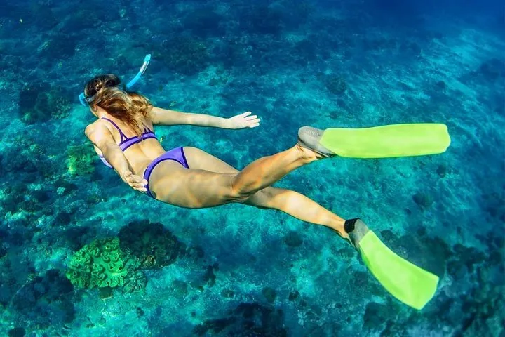 A person in a bikini snorkeling underwater in clear blue water.